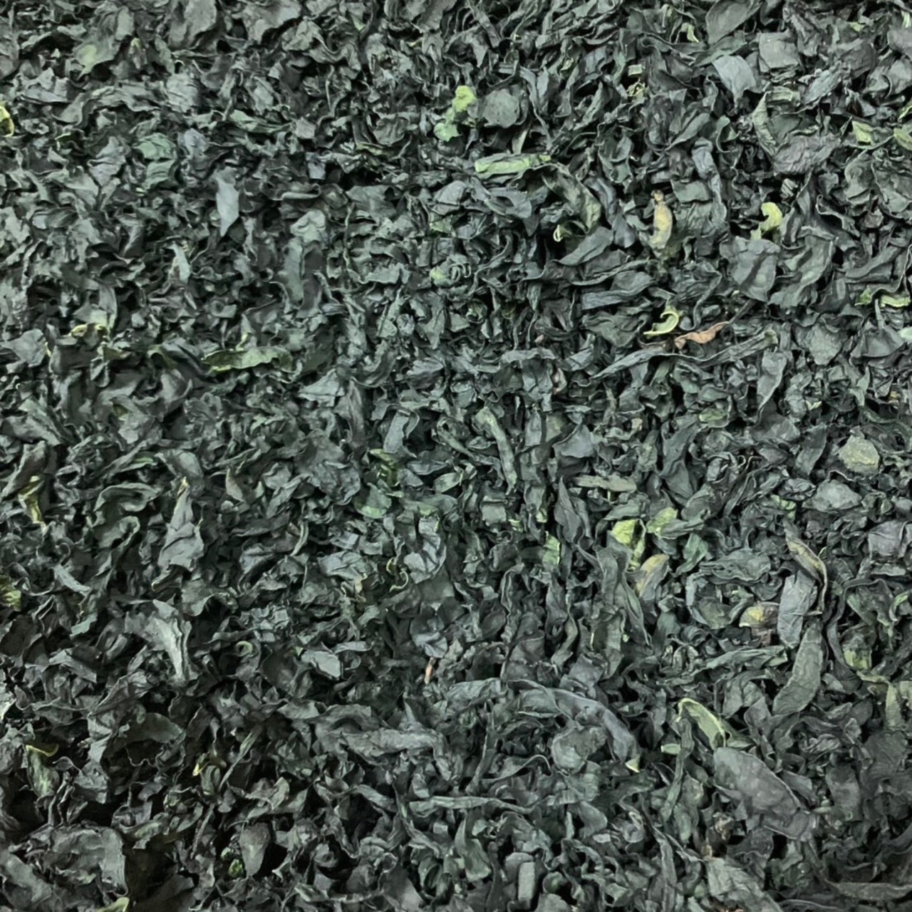 乾燥海帶芽 - M  600克 